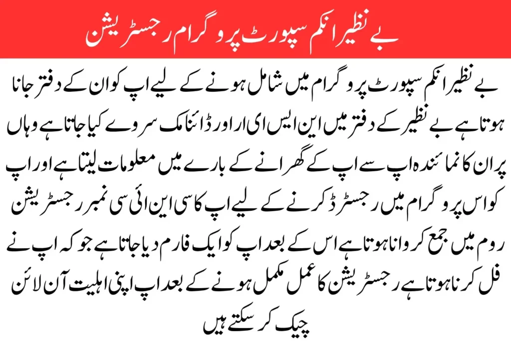 BISP Online Registration Check By CNIC: January Update