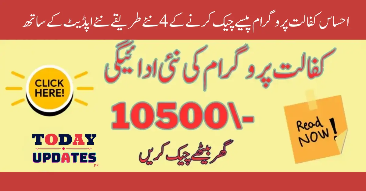 Check Ehsaas Kafaalat Payments from Home: 4 New Simple Methods