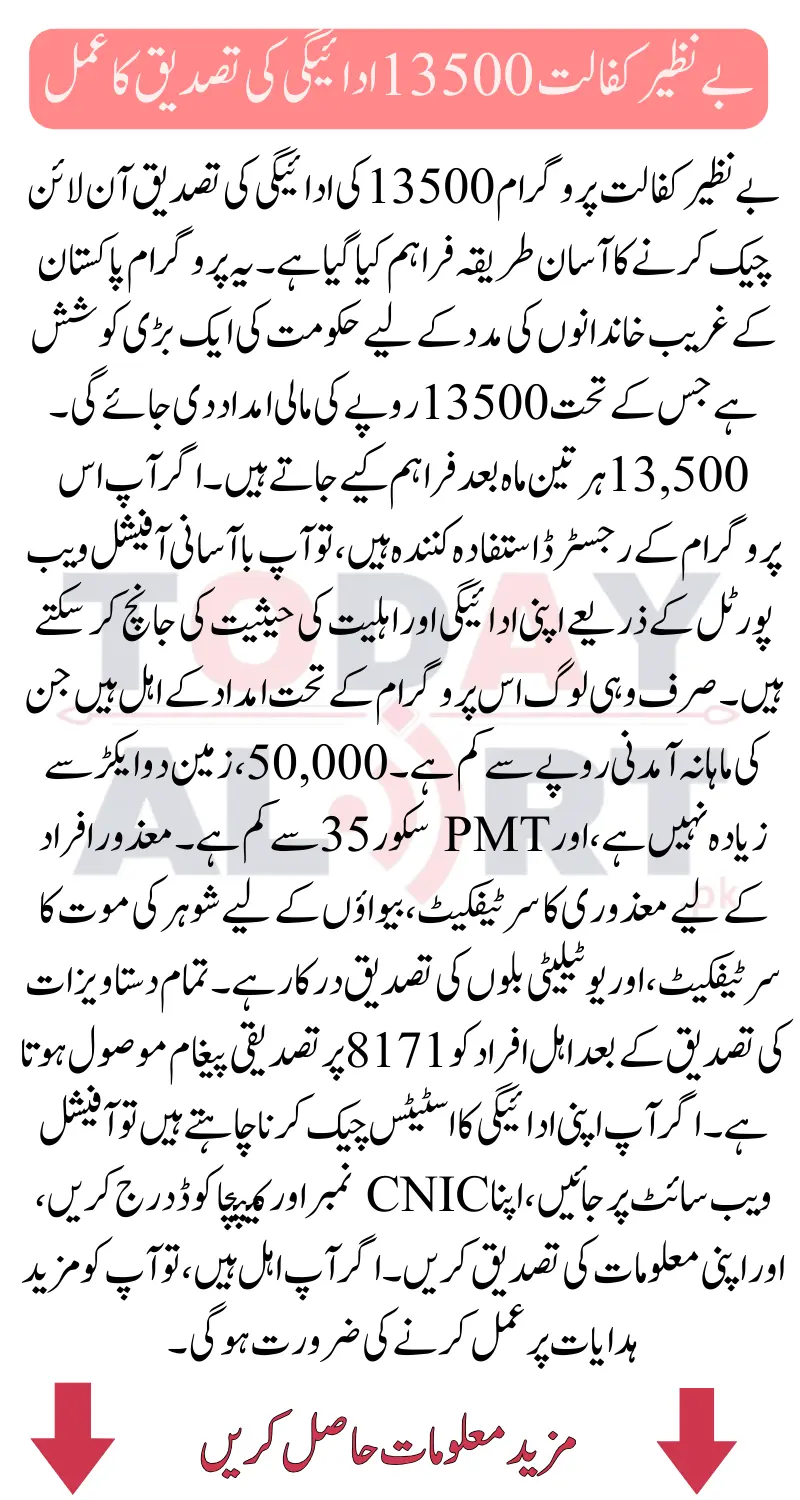 What is the Benazir Kafalat Program?