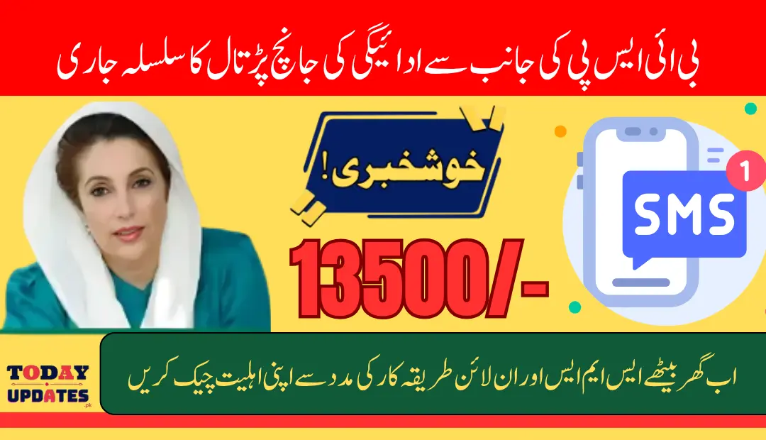 BISP 8171 CNIC Check Online And SMS Method Know Full Details Step By Step 2025