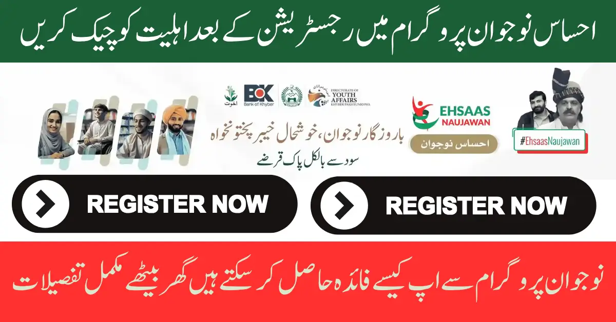 Ehsaas Naujawan Program 2025 How to Check Application Status Full Guide